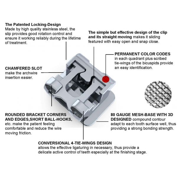 Bondable Self-Ligating Bracket with simple rotational control (Include  ligating instrument) , 80g Mesh Base 5-5 /20 Pcs (Unit)